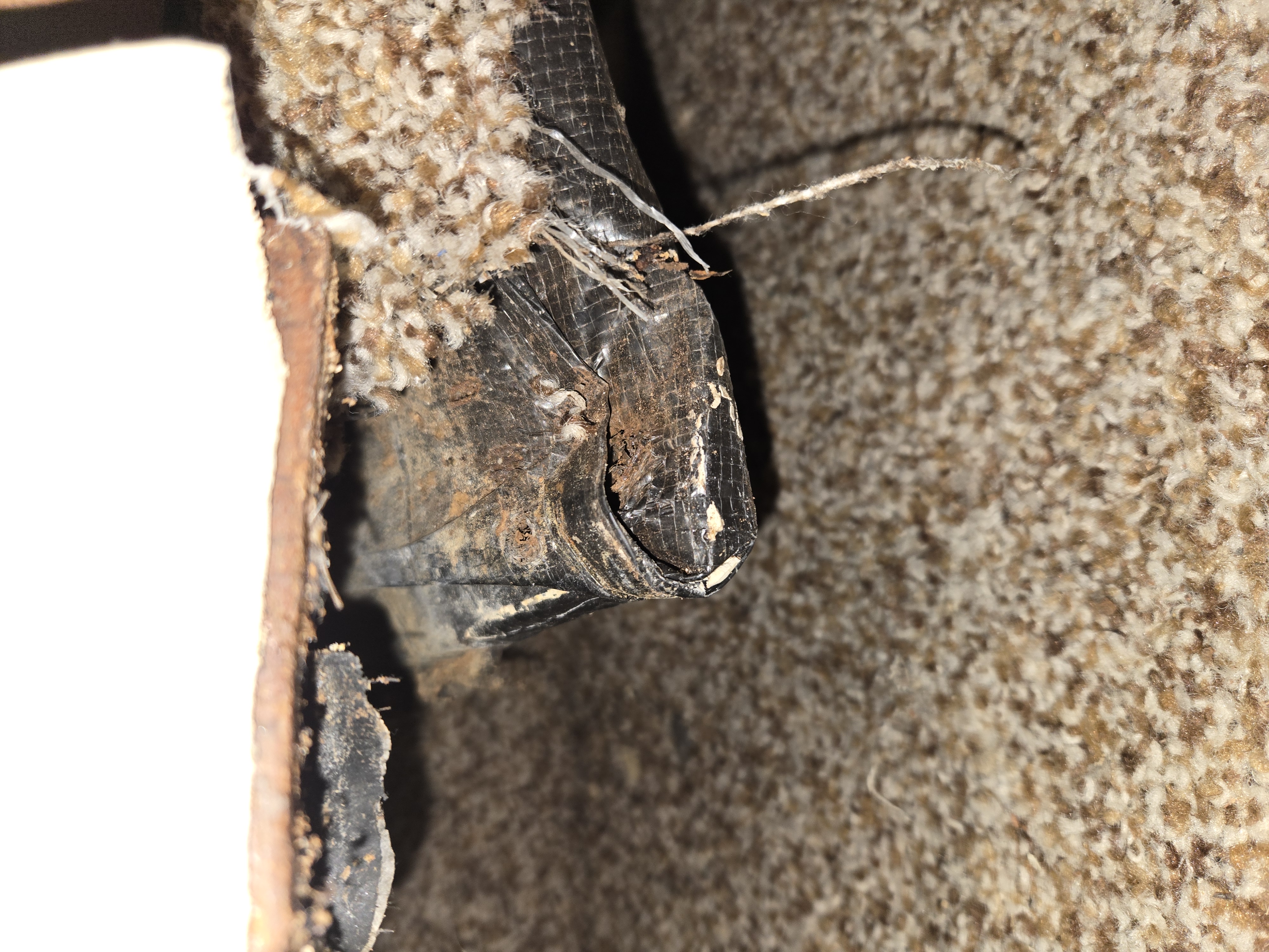 Slide floor rotted